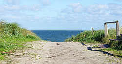 Ein Strandaufgang über eine Düne mit dem Meer im Hintergrund
