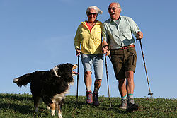 Älteres Ehepaar läuft lachend mit Nordic Walking Stöcken und ihrem Hund über eine Wiese
