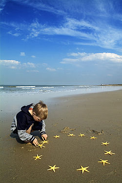 Ein kleiner Junge formt am Strand einen Kreis aus Seesternen. Im Hintergrund ist das Meer und blauer Himmel.